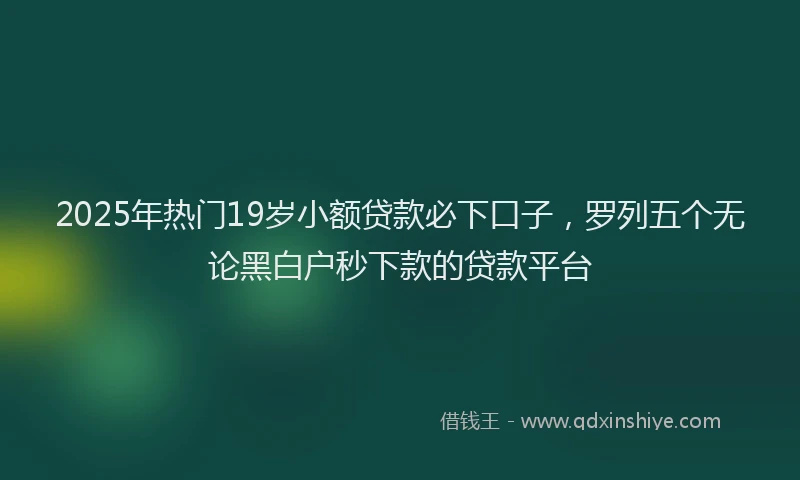 2025年热门19岁小额贷款必下口子，罗列五个无论黑白户秒下款的贷款平台