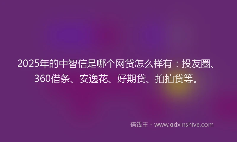 2025年的中智信是哪个网贷怎么样有：投友圈、360借条、安逸花、好期贷、拍拍贷等。