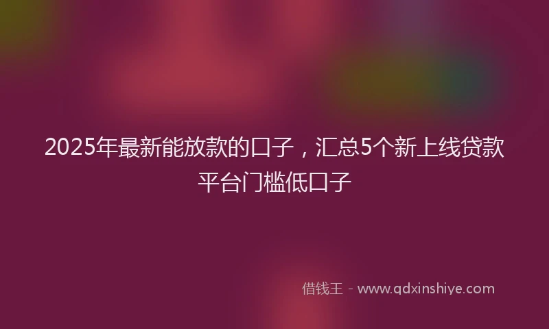 2025年最新能放款的口子，汇总5个新上线贷款平台门槛低口子