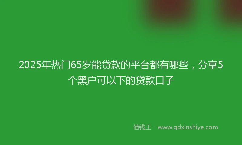 2025年热门65岁能贷款的平台都有哪些，分享5个黑户可以下的贷款口子