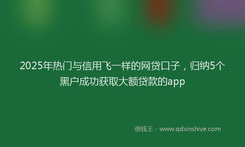 2025年热门与信用飞一样的网贷口子，归纳5个黑户成功获取大额贷款的app