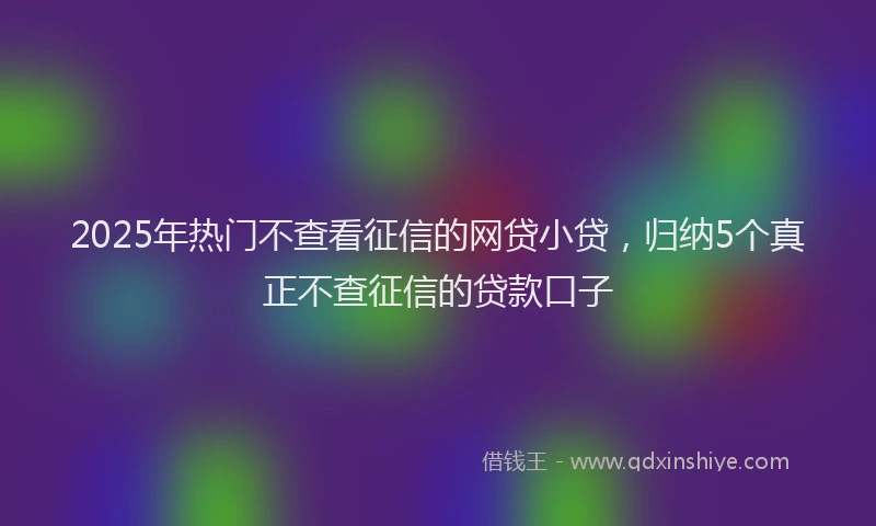 2025年热门不查看征信的网贷小贷，归纳5个真正不查征信的贷款口子