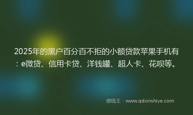 2025年的黑户百分百不拒的小额贷款苹果手机有：e微贷、信用卡贷、洋钱罐、超人卡、花呗等。