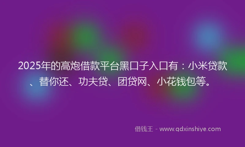 2025年的高炮借款平台黑口子入口有：小米贷款、替你还、功夫贷、团贷网、小花钱包等。