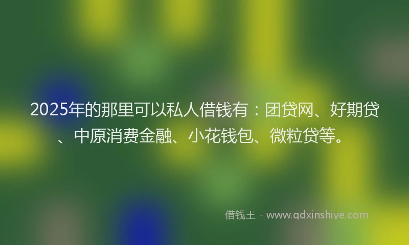 2025年的那里可以私人借钱有：团贷网、好期贷、中原消费金融、小花钱包、微粒贷等。