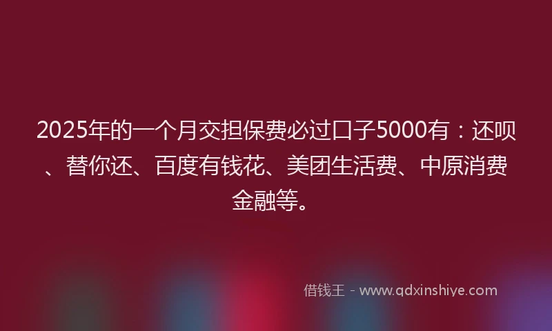 2025年的一个月交担保费必过口子5000有：还呗、替你还、百度有钱花、美团生活费、中原消费金融等。