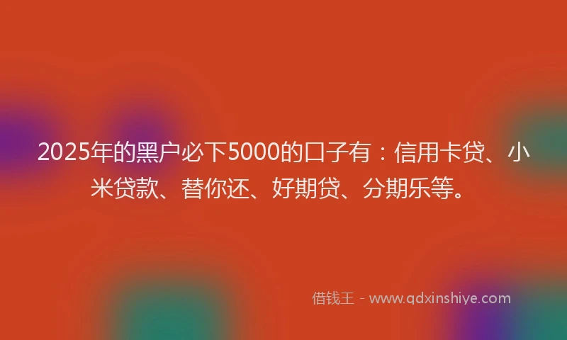 2025年的黑户必下5000的口子有：信用卡贷、小米贷款、替你还、好期贷、分期乐等。