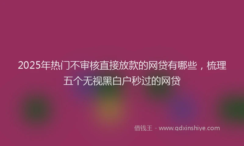 2025年热门不审核直接放款的网贷有哪些，梳理五个无视黑白户秒过的网贷