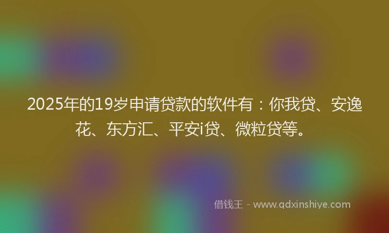 2025年的19岁申请贷款的软件有：你我贷、安逸花、东方汇、平安i贷、微粒贷等。