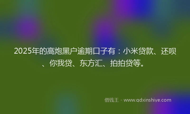 2025年的高炮黑户逾期口子有：小米贷款、还呗、你我贷、东方汇、拍拍贷等。