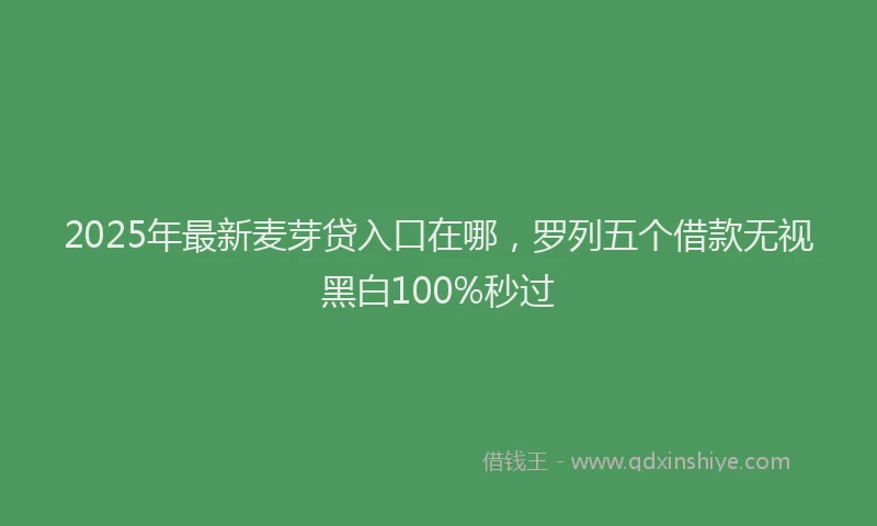 2025年最新麦芽贷入口在哪，罗列五个借款无视黑白100%秒过