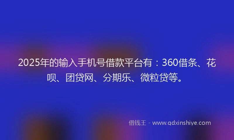 2025年的输入手机号借款平台有：360借条、花呗、团贷网、分期乐、微粒贷等。