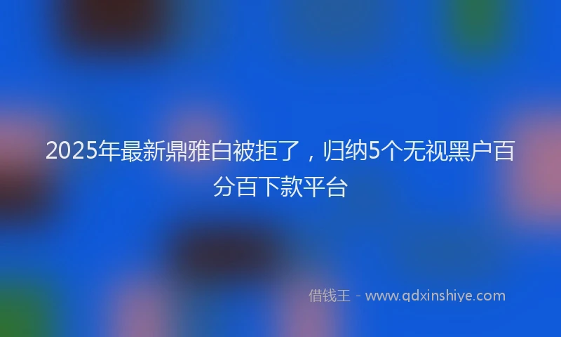 2025年最新鼎雅白被拒了，归纳5个无视黑户百分百下款平台