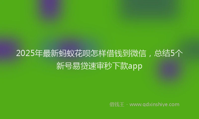 2025年最新蚂蚁花呗怎样借钱到微信，总结5个新号易贷速审秒下款app