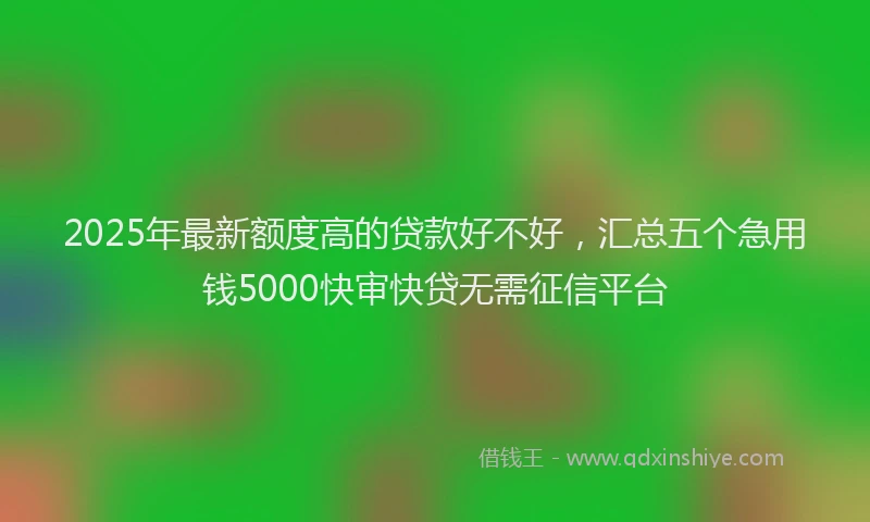 2025年最新额度高的贷款好不好，汇总五个急用钱5000快审快贷无需征信平台