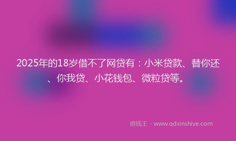 2025年的18岁借不了网贷有：小米贷款、替你还、你我贷、小花钱包、微粒贷等。