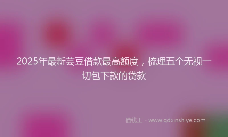 2025年最新芸豆借款最高额度，梳理五个无视一切包下款的贷款