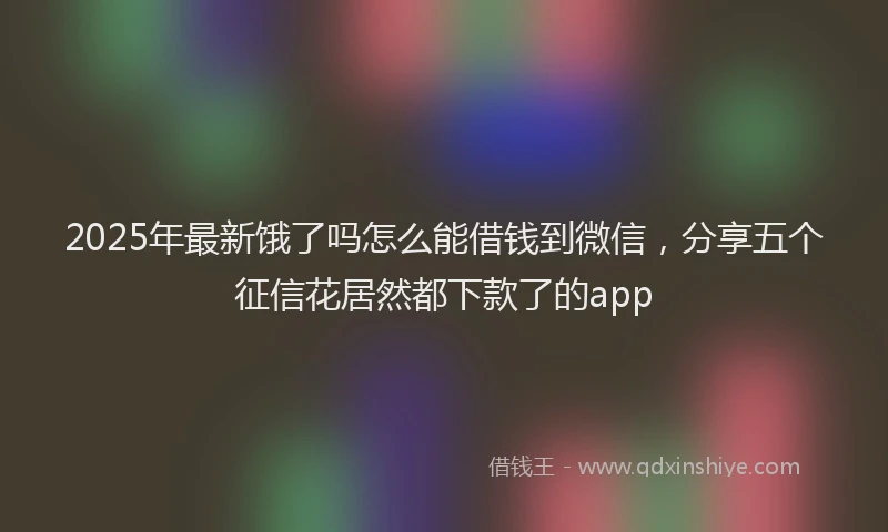 2025年最新饿了吗怎么能借钱到微信，分享五个征信花居然都下款了的app