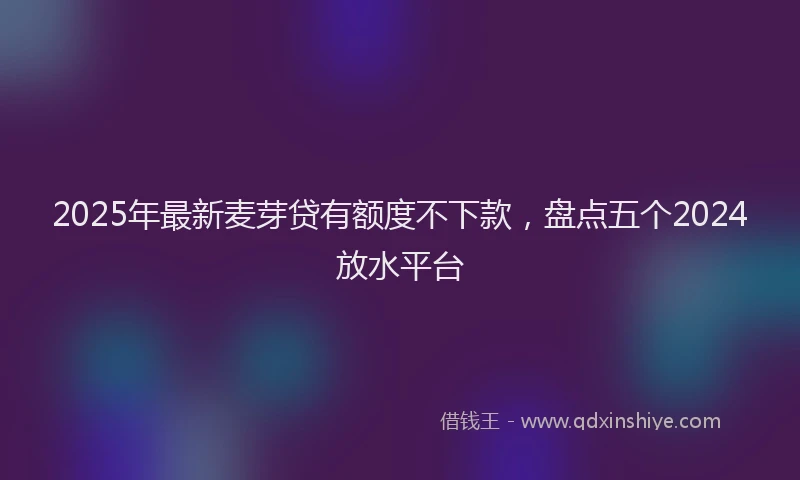 2025年最新麦芽贷有额度不下款，盘点五个2024放水平台