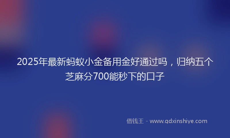 2025年最新蚂蚁小金备用金好通过吗，归纳五个芝麻分700能秒下的口子