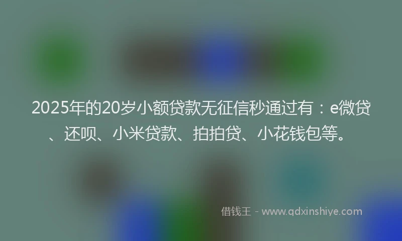 2025年的20岁小额贷款无征信秒通过有：e微贷、还呗、小米贷款、拍拍贷、小花钱包等。