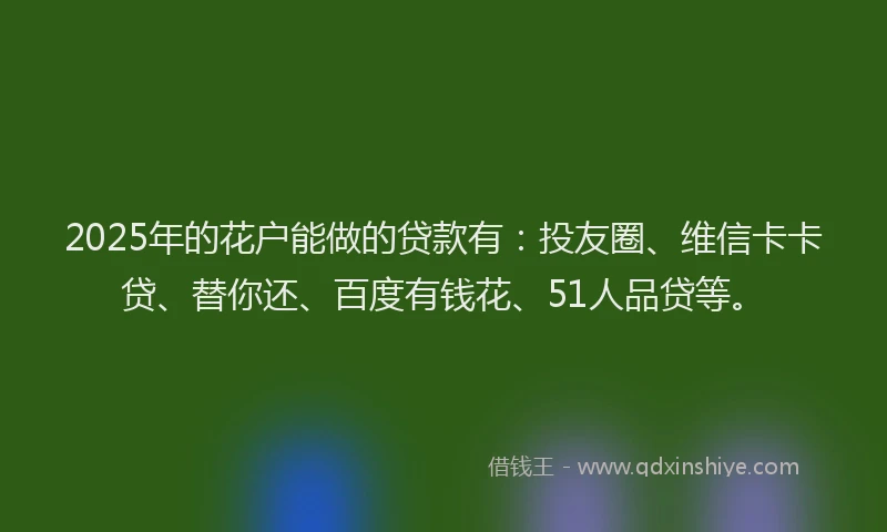 2025年的花户能做的贷款有：投友圈、维信卡卡贷、替你还、百度有钱花、51人品贷等。