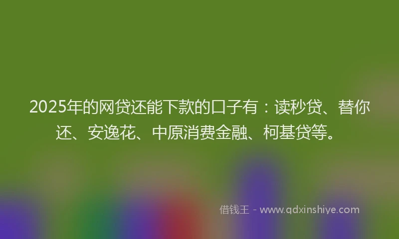 2025年的网贷还能下款的口子有：读秒贷、替你还、安逸花、中原消费金融、柯基贷等。