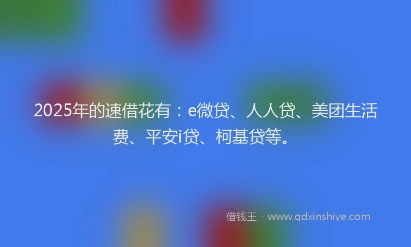 2025年的速借花有：e微贷、人人贷、美团生活费、平安i贷、柯基贷等。