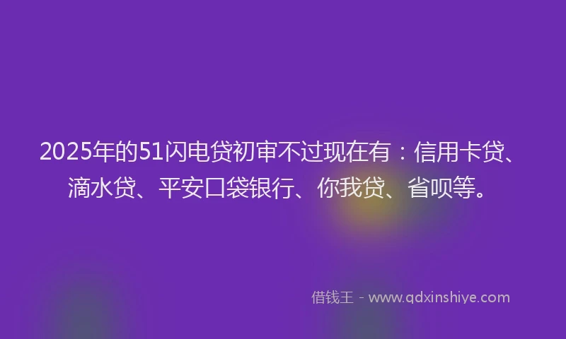 2025年的51闪电贷初审不过现在有：信用卡贷、滴水贷、平安口袋银行、你我贷、省呗等。