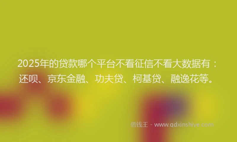 2025年的贷款哪个平台不看征信不看大数据有：还呗、京东金融、功夫贷、柯基贷、融逸花等。