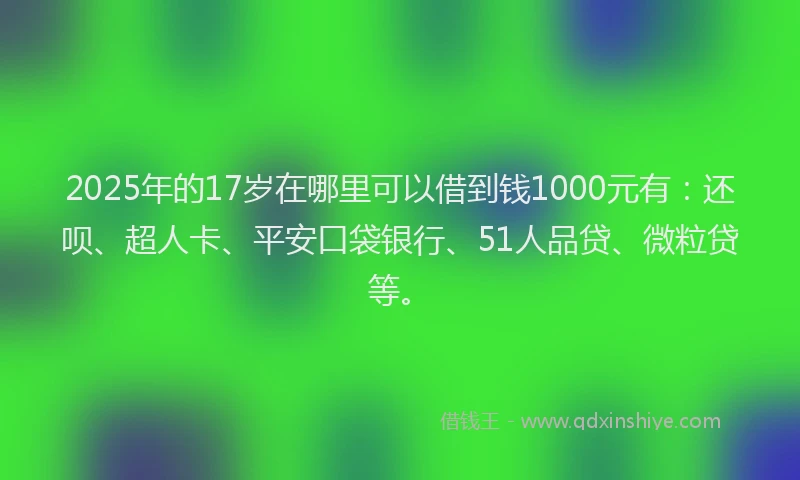 2025年的17岁在哪里可以借到钱1000元有：还呗、超人卡、平安口袋银行、51人品贷、微粒贷等。