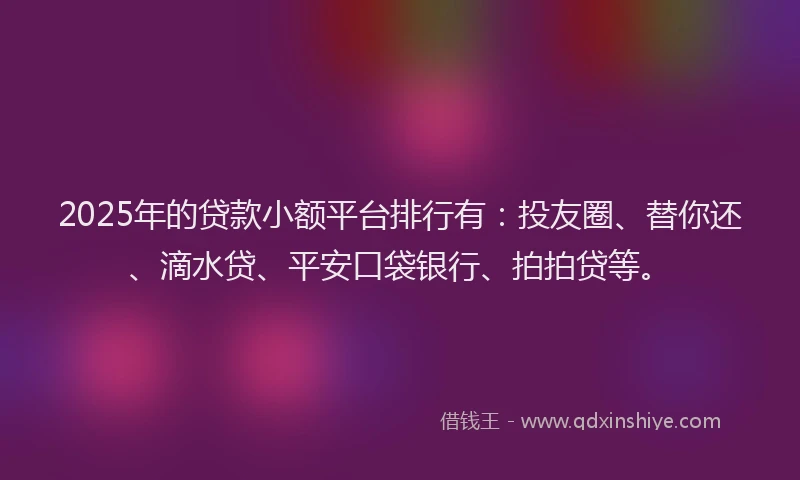 2025年的贷款小额平台排行有：投友圈、替你还、滴水贷、平安口袋银行、拍拍贷等。