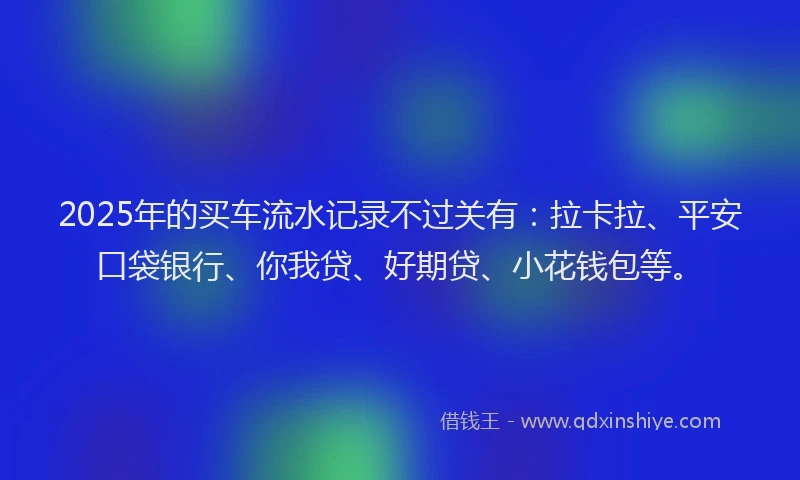 2025年的买车流水记录不过关有：拉卡拉、平安口袋银行、你我贷、好期贷、小花钱包等。