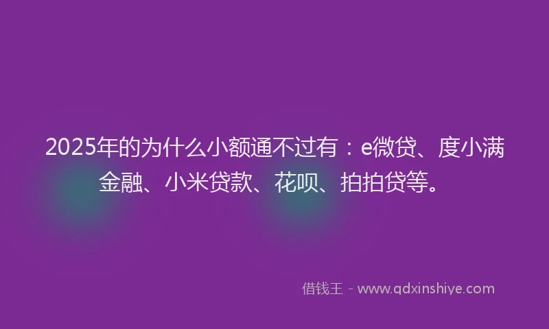 2025年的为什么小额通不过有：e微贷、度小满金融、小米贷款、花呗、拍拍贷等。