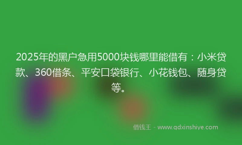 2025年的黑户急用5000块钱哪里能借有：小米贷款、360借条、平安口袋银行、小花钱包、随身贷等。