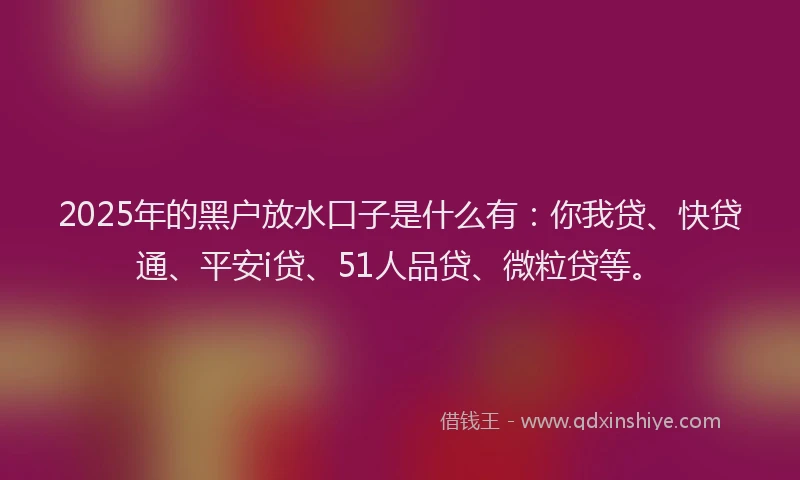 2025年的黑户放水口子是什么有：你我贷、快贷通、平安i贷、51人品贷、微粒贷等。