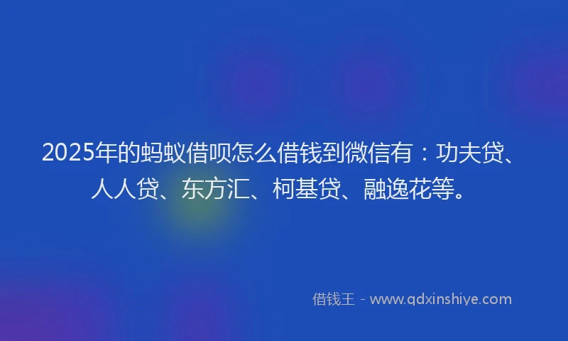 2025年的蚂蚁借呗怎么借钱到微信有：功夫贷、人人贷、东方汇、柯基贷、融逸花等。