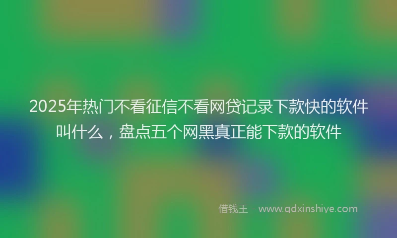 2025年热门不看征信不看网贷记录下款快的软件叫什么，盘点五个网黑真正能下款的软件