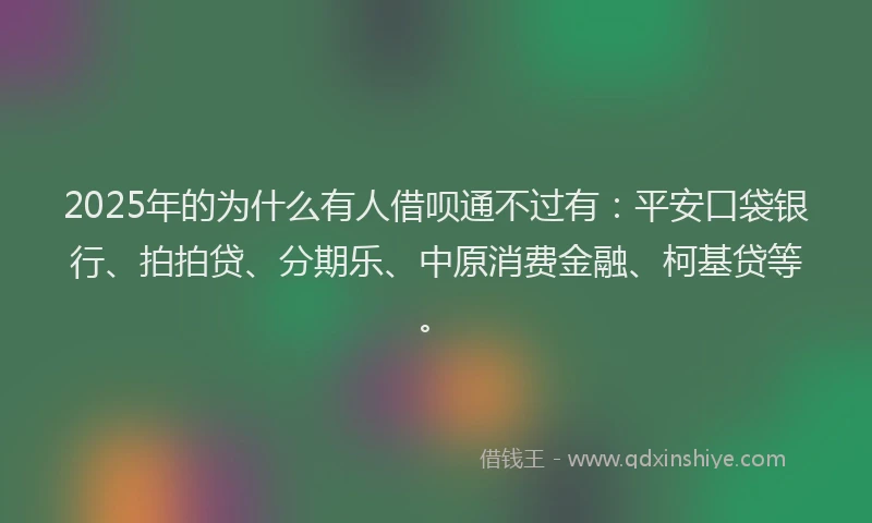 2025年的为什么有人借呗通不过有：平安口袋银行、拍拍贷、分期乐、中原消费金融、柯基贷等。
