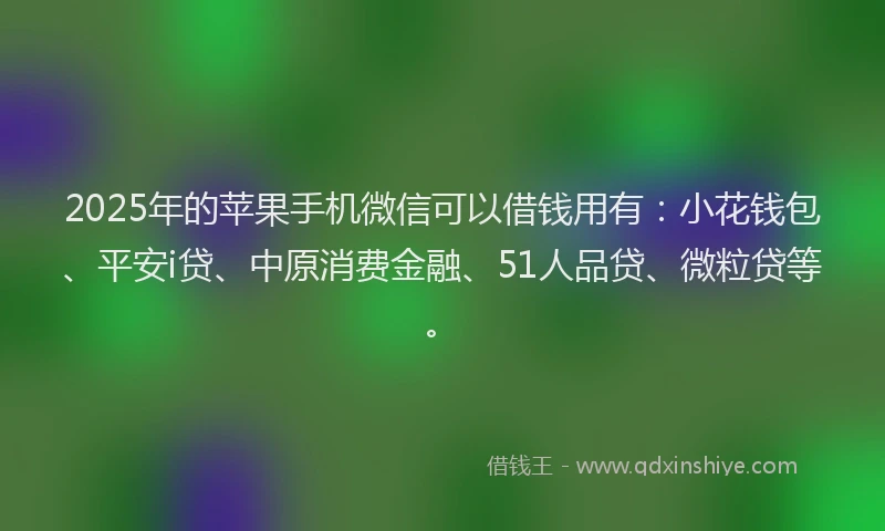 2025年的苹果手机微信可以借钱用有：小花钱包、平安i贷、中原消费金融、51人品贷、微粒贷等。