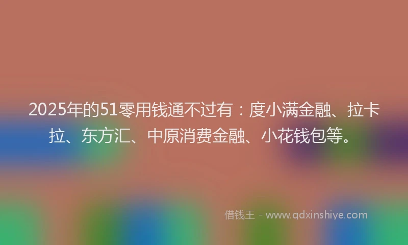 2025年的51零用钱通不过有：度小满金融、拉卡拉、东方汇、中原消费金融、小花钱包等。