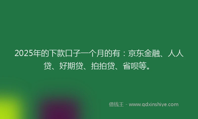 2025年的下款口子一个月的有：京东金融、人人贷、好期贷、拍拍贷、省呗等。