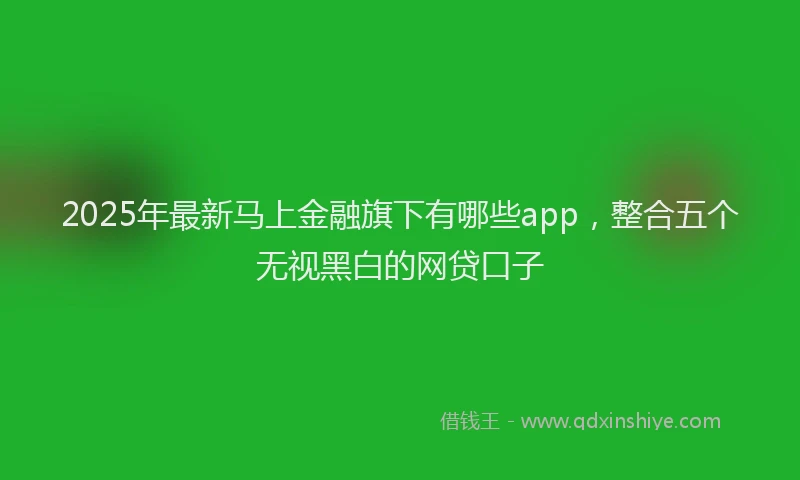 2025年最新马上金融旗下有哪些app，整合五个无视黑白的网贷口子