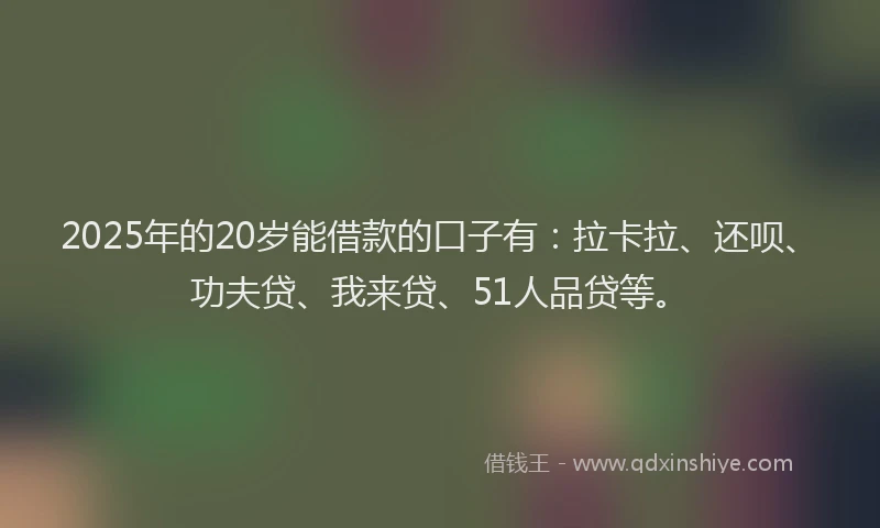 2025年的20岁能借款的口子有：拉卡拉、还呗、功夫贷、我来贷、51人品贷等。