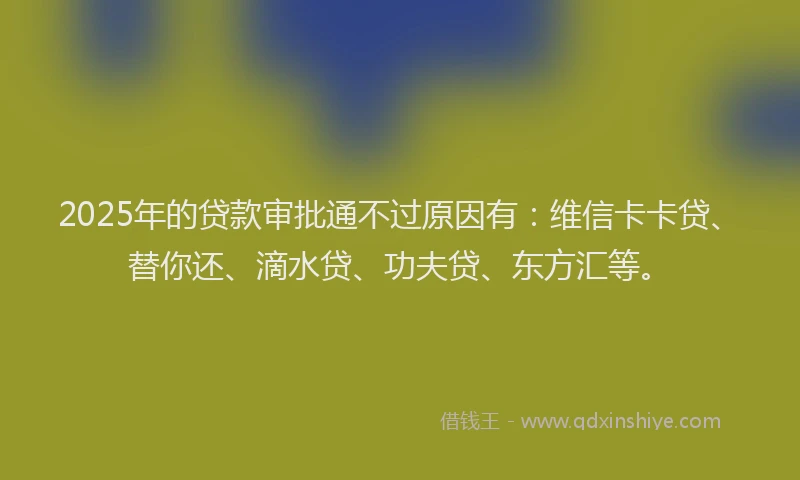 2025年的贷款审批通不过原因有：维信卡卡贷、替你还、滴水贷、功夫贷、东方汇等。