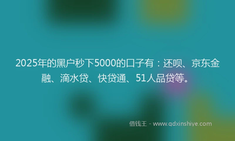 2025年的黑户秒下5000的口子有：还呗、京东金融、滴水贷、快贷通、51人品贷等。