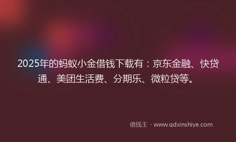 2025年的蚂蚁小金借钱下载有：京东金融、快贷通、美团生活费、分期乐、微粒贷等。