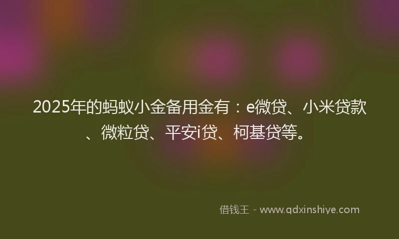 2025年的蚂蚁小金备用金有：e微贷、小米贷款、微粒贷、平安i贷、柯基贷等。