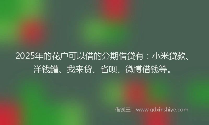 2025年的花户可以借的分期借贷有：小米贷款、洋钱罐、我来贷、省呗、微博借钱等。