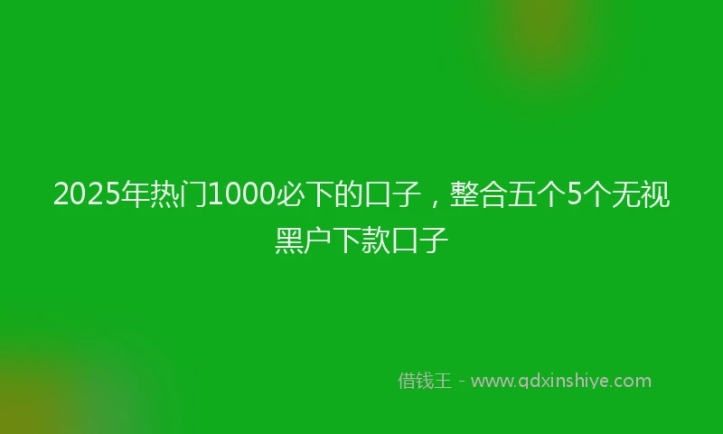 2025年热门1000必下的口子，整合五个5个无视黑户下款口子